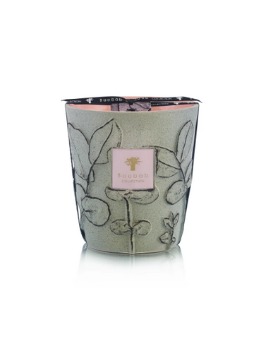 Baobab | Folia Maquis