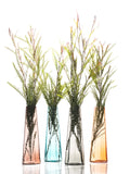 Vitreluxe | Sitka Vase - Four Colours