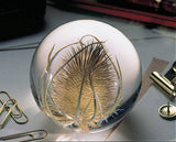Bloomist | Teasel Botanical Resin Paperweight