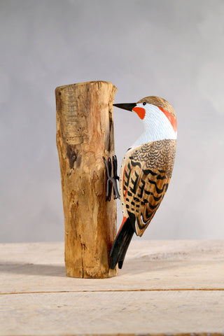 Aviologie | Woodpecker - Northern Flicker - 9.5"H -Carved Ornament
