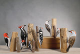 Aviologie | Woodpecker - Northern Flicker - 9.5"H -Carved Ornament
