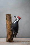 Aviologie | Woodpecker - Pileated - 13"H -Carved Wooden Ornament