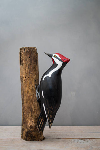 Aviologie | Woodpecker - Pileated - 13"H -Carved Wooden Ornament