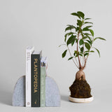 Bloomist | Stone Bookends, Set of 2
