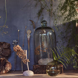 Bloomist | Round Stone Frog