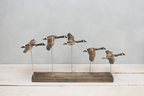 Aviologie | Canada Goose - Flying Set of 5 - 22"L -Carved Ornament
