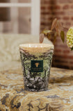 Baobab | SCENTED CANDLE SACRED TREES TOUBA