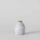 Bloomist | Beach Stone Match Striker