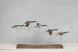 Aviologie | Canada Goose - Flying Set of 5 - 22"L -Carved Ornament