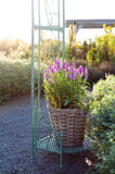 Bacon Baskeware | Rattan bushel 2x2