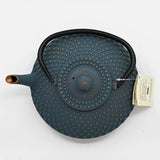 Teal Blue Hobnail Design 42oz Cast Iron Tea Pot
