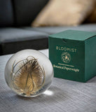 Bloomist | Teasel Botanical Resin Paperweight