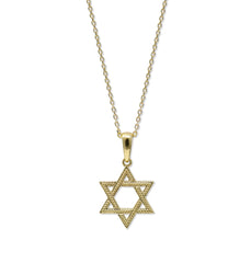 Anzie | Dew Drop Star of David Charm necklace 14k