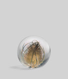 Bloomist | Teasel Botanical Resin Paperweight