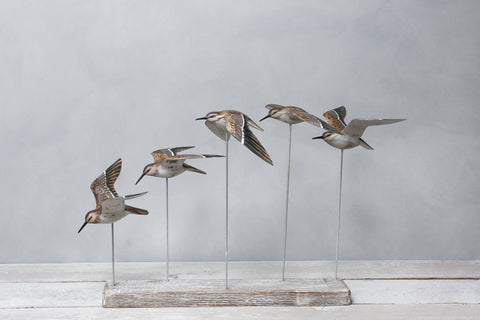 Aviologie | Sanderlings - Flying Set of 5 - 22"L x 17”H- Ornament