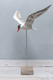 Aviologie | Tern - Flying - 17"H -Carved Wooden Ornament