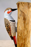Aviologie | Woodpecker - Northern Flicker - 9.5"H -Carved Ornament