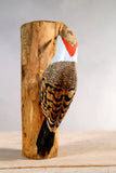 Aviologie | Woodpecker - Northern Flicker - 9.5"H -Carved Ornament