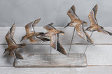 Aviologie | Sanderlings - Flying Set of 5 - 22"L x 17”H- Ornament