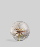 Bloomist | Goatsbeard Botanical Resin Paperweight