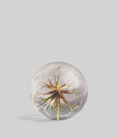 Bloomist | Goatsbeard Botanical Resin Paperweight