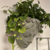 Vagabond Vintage | Wall Art Cement Girl   Planter