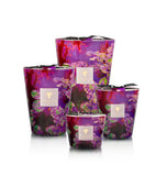 Baobab | SCENTED CANDLE ARTY FLOWERS WATER LILY