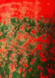 Baobab | SCENTED CANDLE ARTY FLOWERS POPPIES