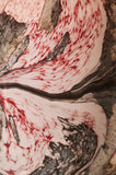 Baobab | SCENTED CANDLE LEAVES MANON