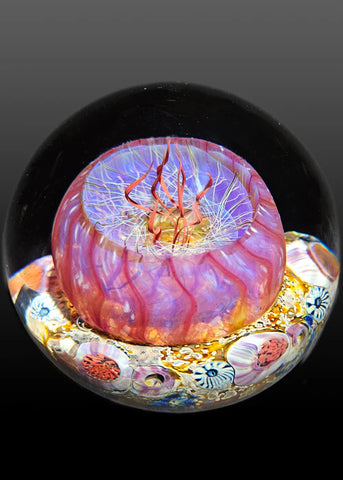 Satava | Coral Sea Anemone