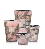 Baobab | SCENTED CANDLE LEAVES MANON