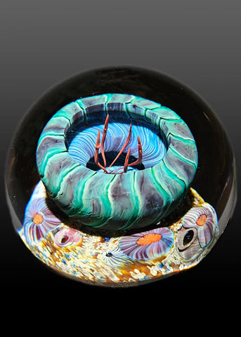 Satava | Emerald Sea Anemone