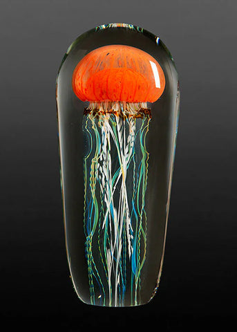 Satava | Pacific Coast Jellyfish