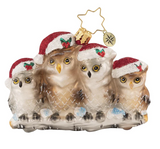 Christopher Radko | Its Owl in The Family - Gem
