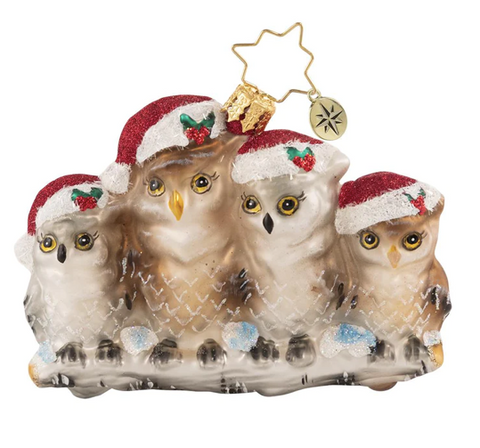 Christopher Radko | Its Owl in The Family - Gem