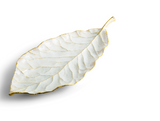 Michael Aram | Winter Leaves Magnolia Dish