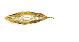 Michael Aram | Iris Pod Sculpture