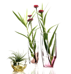 Vitreluxe | Crystal Vases - Berry
