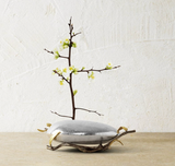 Michael Aram | Zen Garden Ikebana Vase