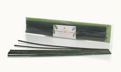 Frasier Fir | Unscented Reed Refill Green