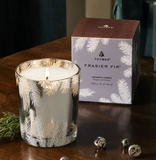 Thymes | Frasier Fir Statement 13 oz Poured Candle