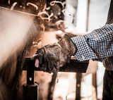 Stinson Studios | Square Ambrosia Maple Bowl