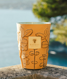 Baobab | Folia Garrigue