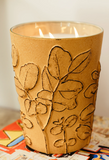 Baobab | Folia Garrigue