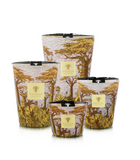 Baobab | Sacred Trees Cocody - Candle