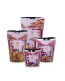 Baobab | Sacred Trees Massasso - Candle