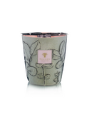 Baobab | Folia Maquis