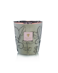 Baobab | Folia Maquis
