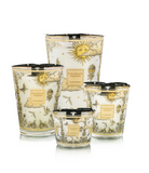 Baobab | Tomorrowland 2025 - Candle