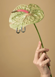 Erica Leal | Wray Earrings